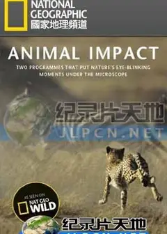 动物构造大揭密