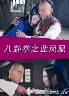 八卦拳之蓝凤凰