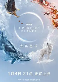 完美星球（英语）