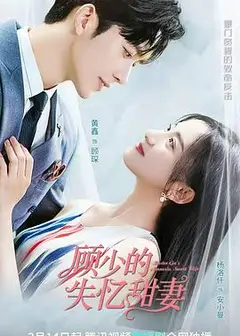 顾少的失忆甜妻