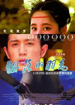 飘落的羽毛