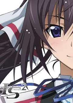 无限斯特拉托斯2：一夏的思绪