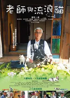 老师与流浪猫