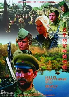 这里的黎明静悄悄2005