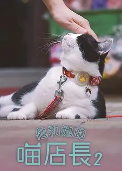 他和她的喵店长2