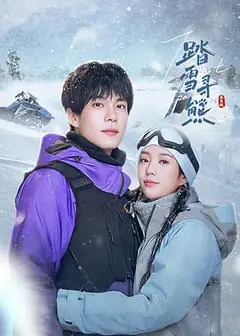 踏雪寻熊