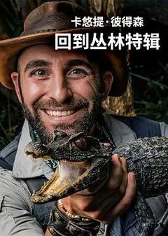 卡悠提·彼得森：回到丛林特辑