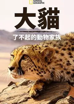 猫科动物：奇妙的动物家族