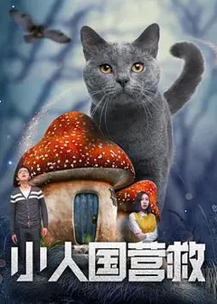 小人国营救