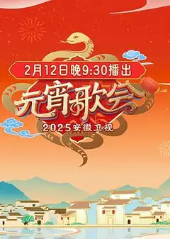 2025安徽卫视元宵晚会