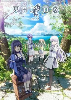 夏日口袋