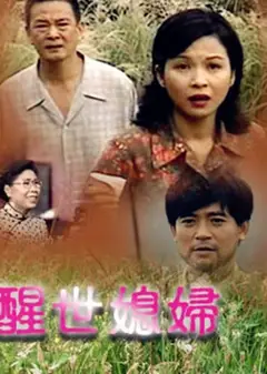 醒世媳婦