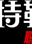 希特勒：职业生涯
