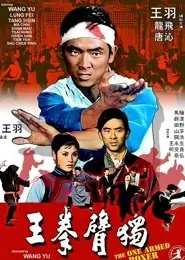 独臂拳王