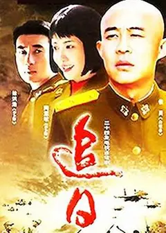 追日2004