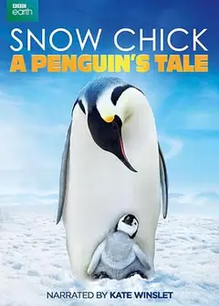 帝企鹅宝宝的生命轮回之旅