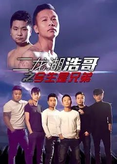 二龙湖浩哥之今生是兄弟