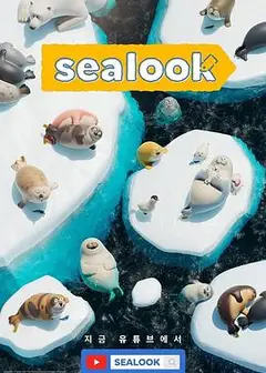 海豹看看