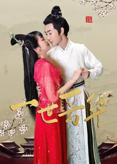 一世芳华