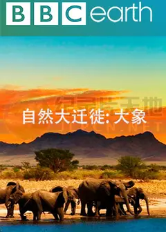 自然大迁徙