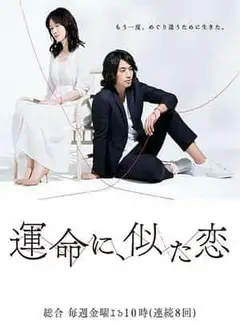 命运般的恋爱