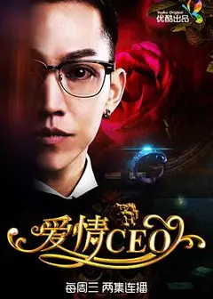 爱情CEO