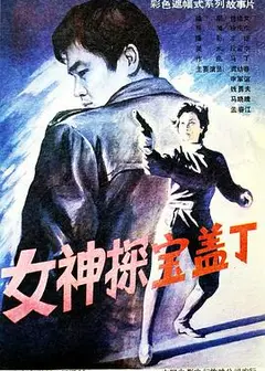 女神探宝盖丁