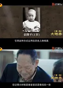 杂交水稻之父袁隆平