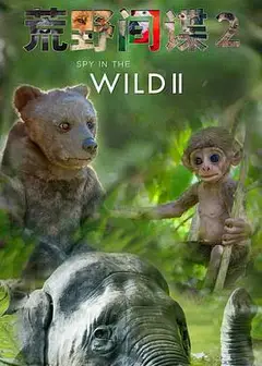 荒野间谍第二季