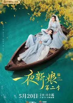 一夜新娘第二部