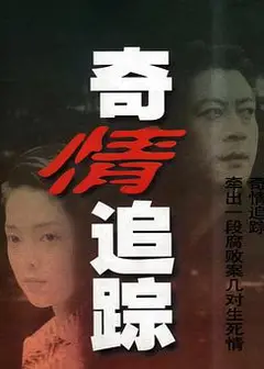 奇情追踪