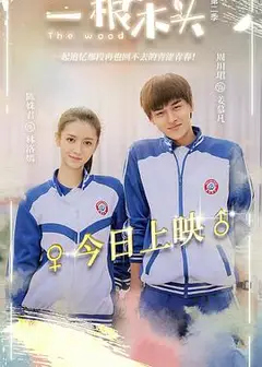 一根木头第二季