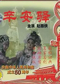 辛安驿