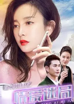 反诈风暴之情爱迷局