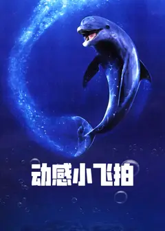 动感小飞拍