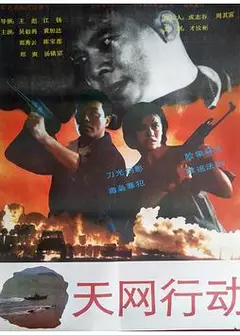 天网行动1994