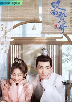 双面赘婿第2季