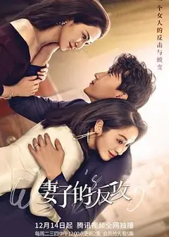 妻子的反攻