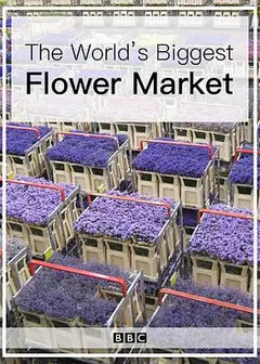 世界上最大的鲜花市场