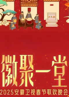2025安徽春晚