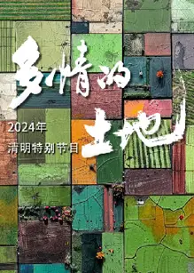 2024多情的土地