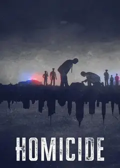凶杀重案实录 纽约 第二季