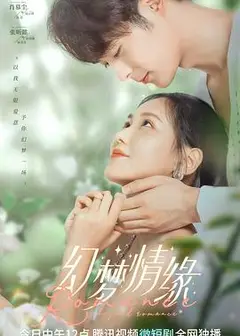幻梦情缘