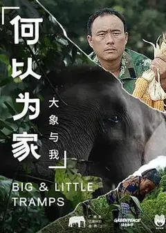 何以为家：大象与我