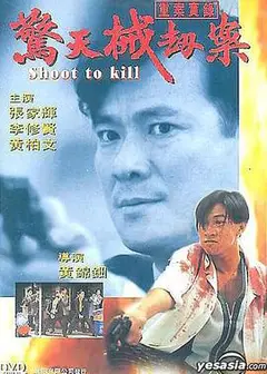 重案实录之惊天械劫案