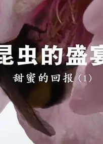 昆虫的盛宴粤语