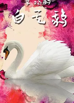 幸福的白天鹅