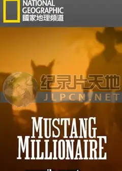 百万驯马大赛
