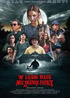 今夜林中无人入睡