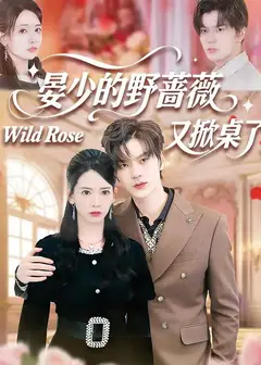 晏少的野蔷薇又掀桌了